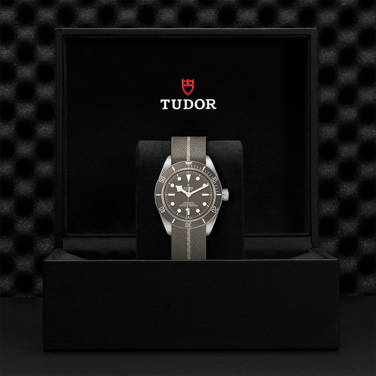 TUDOR Black Bay 58 Watch - M79010SG-0002 at Korman Fine Jewelry