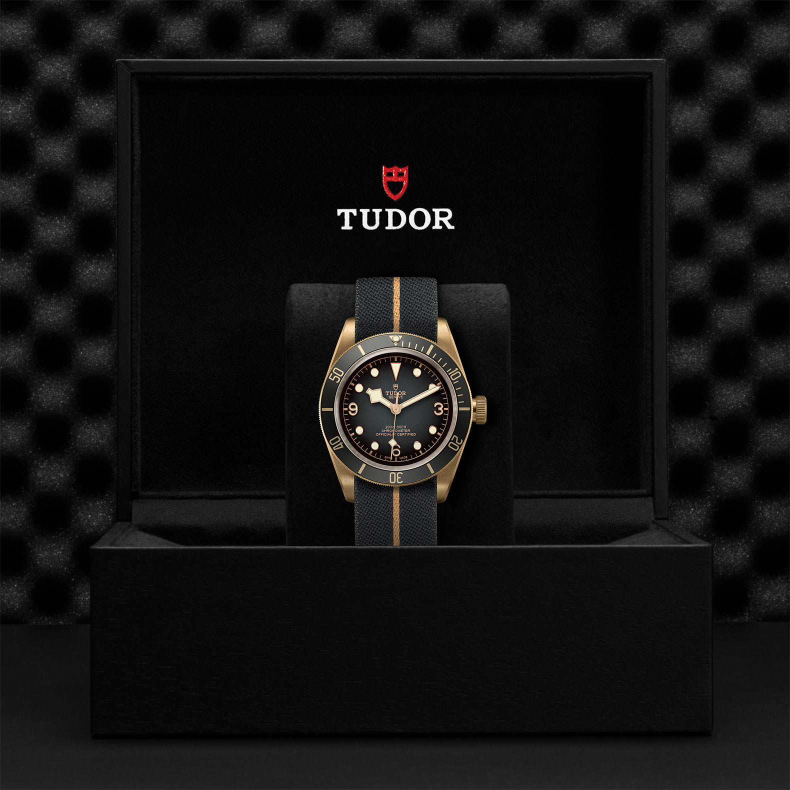 TUDOR Black Bay Bronze Watch - M79250BA-0002 at Korman Fine Jewelry