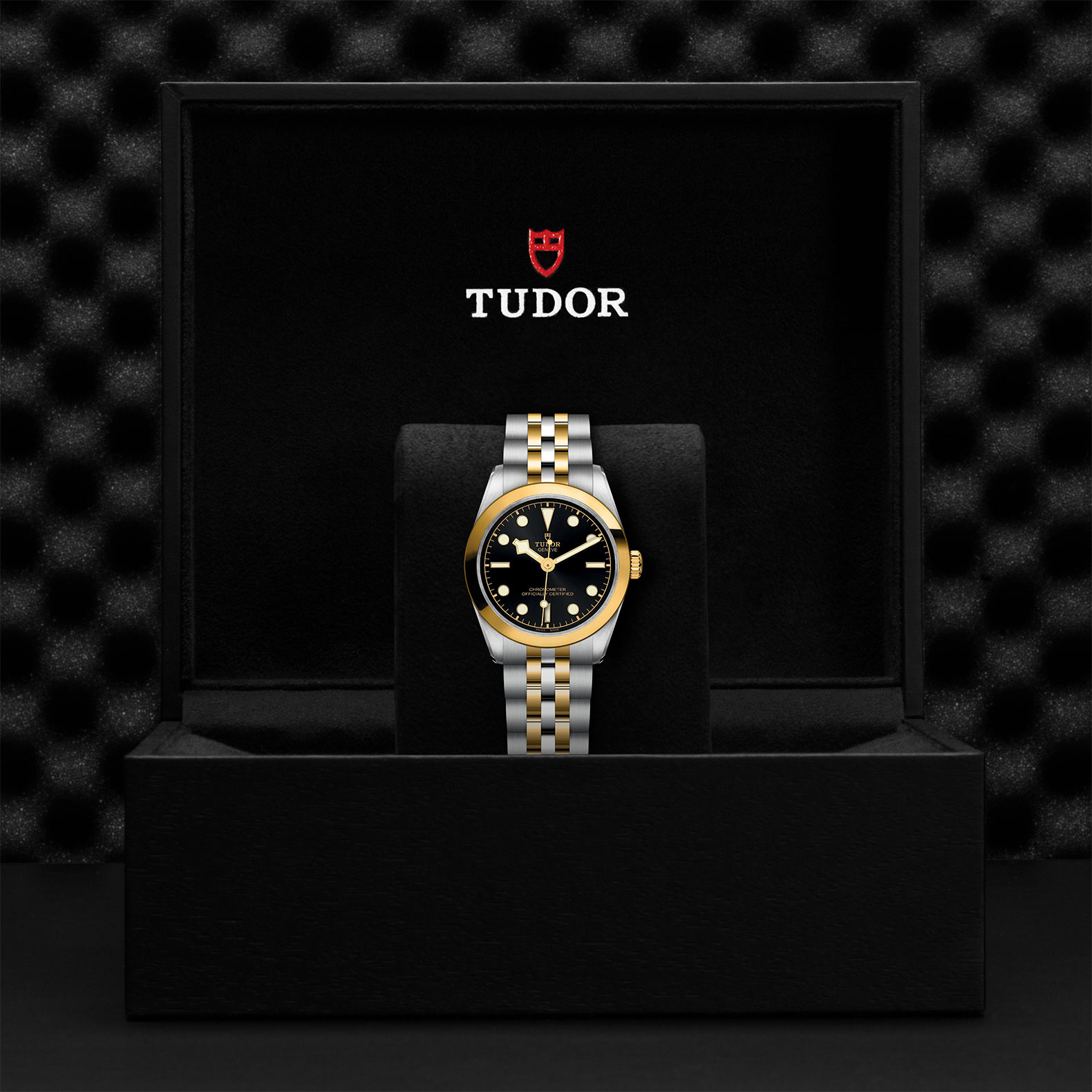 TUDOR Black Bay 31/36/39/41 S&G Watch - M79603-0001 at Korman Fine Jewelry