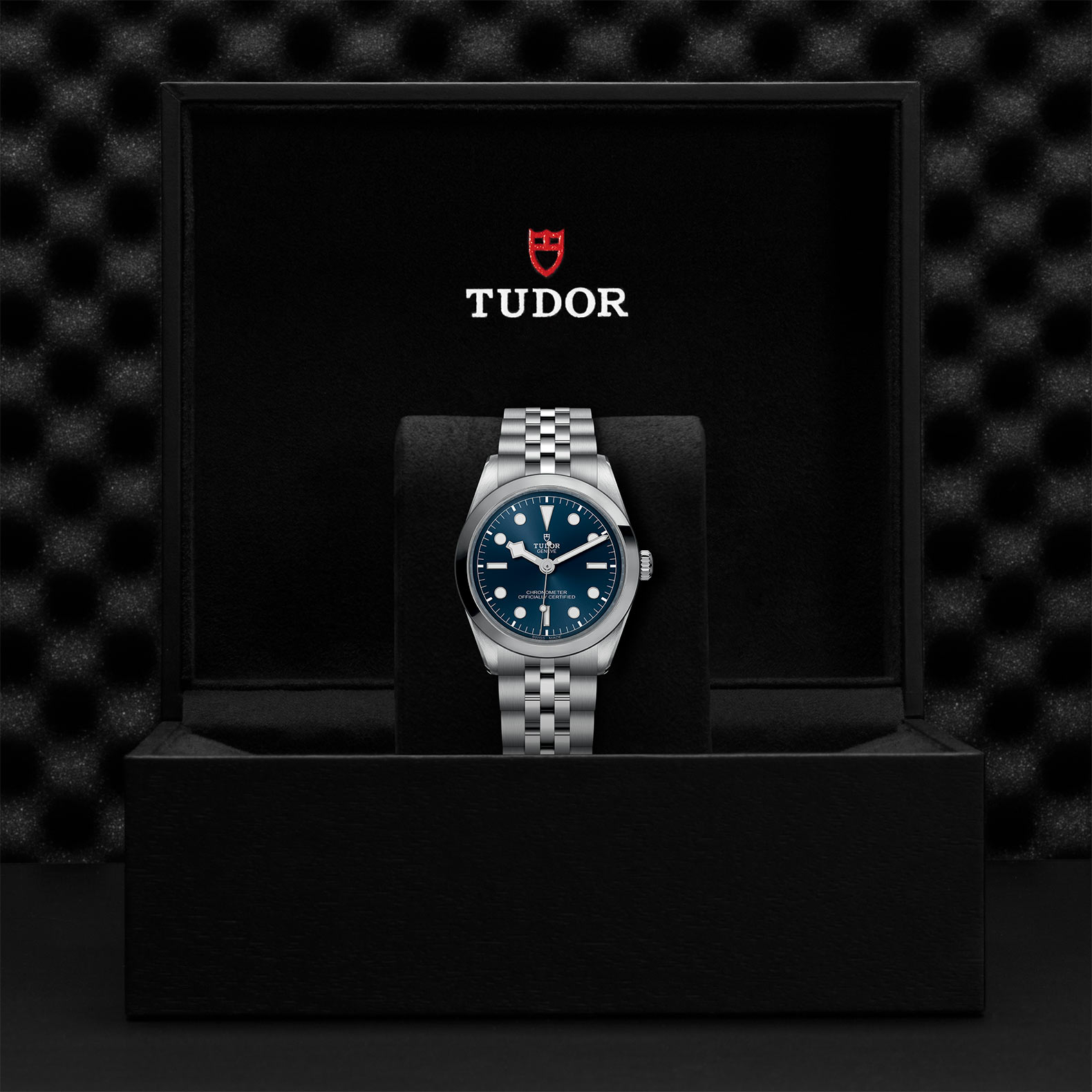 TUDOR Black Bay 31/36/39/41 Watch - M79640-0002 at Korman Fine Jewelry