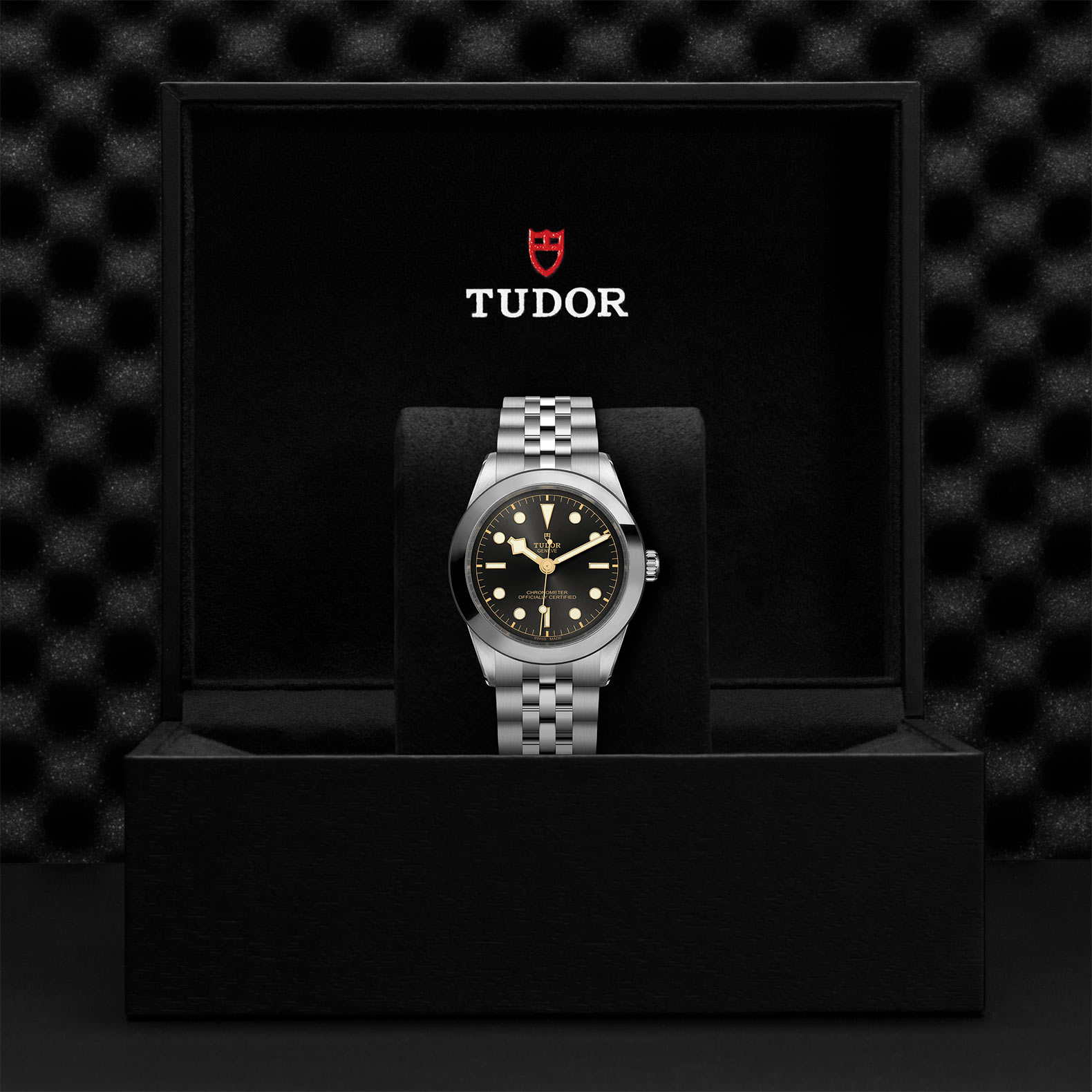 TUDOR Black Bay 31/36/39/41 Watch - M79660-0001 at Korman Fine Jewelry