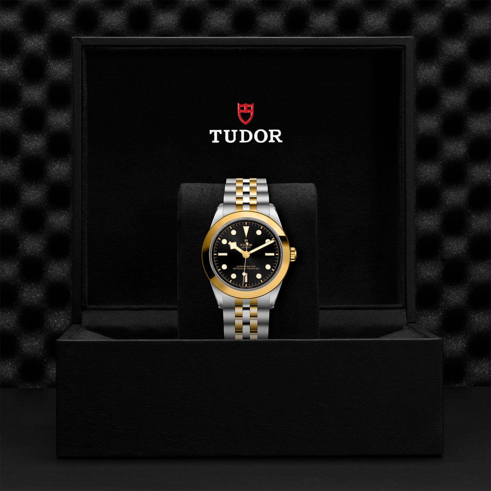 TUDOR Black Bay 31/36/39/41 S&G Watch - M79663-0001 at Korman Fine Jewelry
