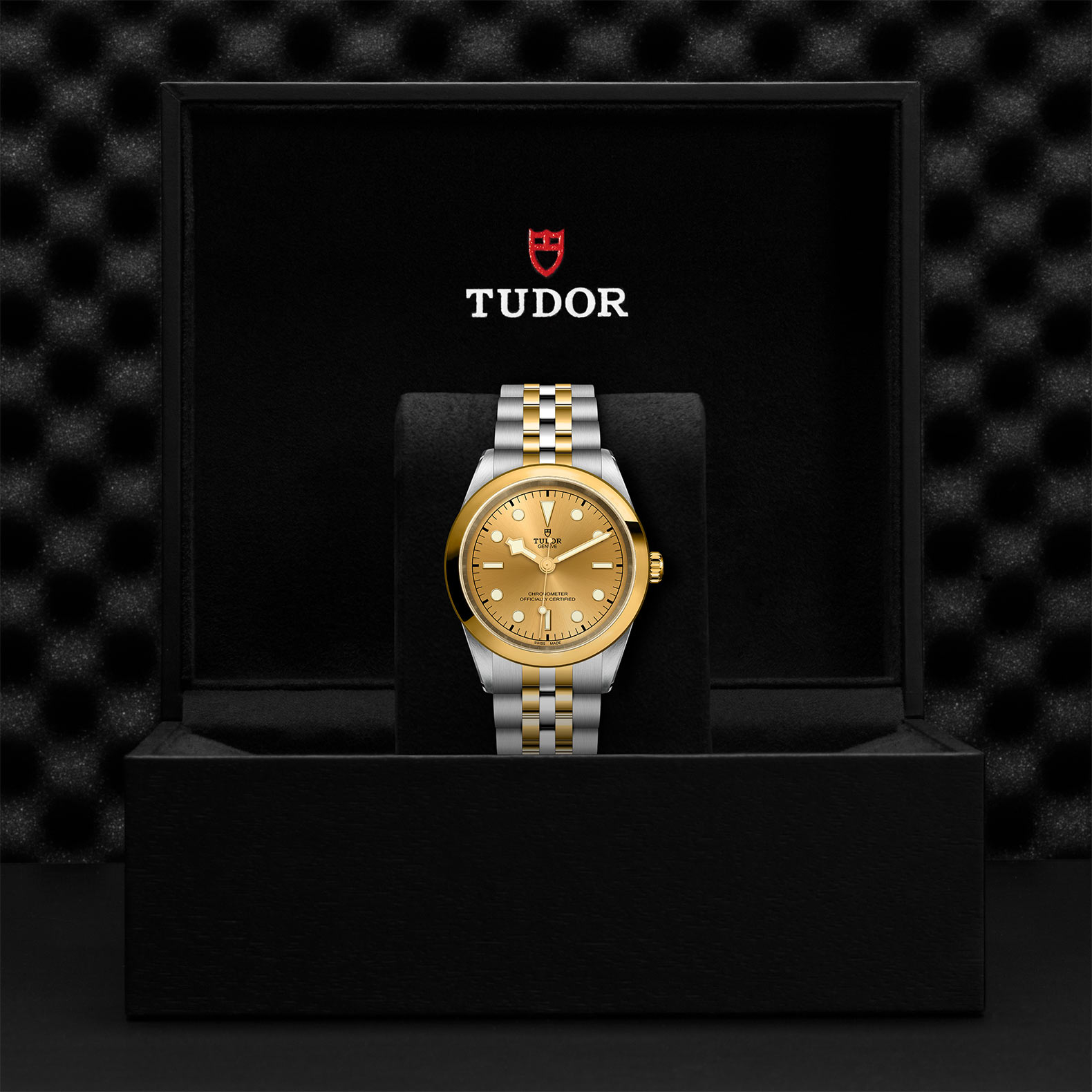 TUDOR Black Bay 31/36/39/41 S&G Watch - M79683-0005 at Korman Fine Jewelry