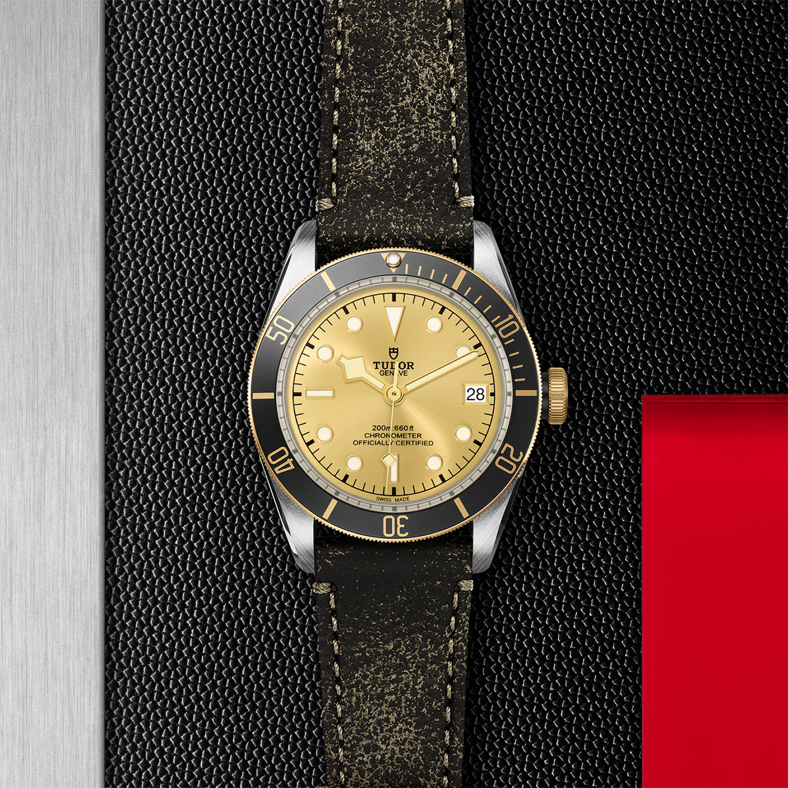 TUDOR Black Bay Watch - M79733N-0003 at Korman Fine Jewelry