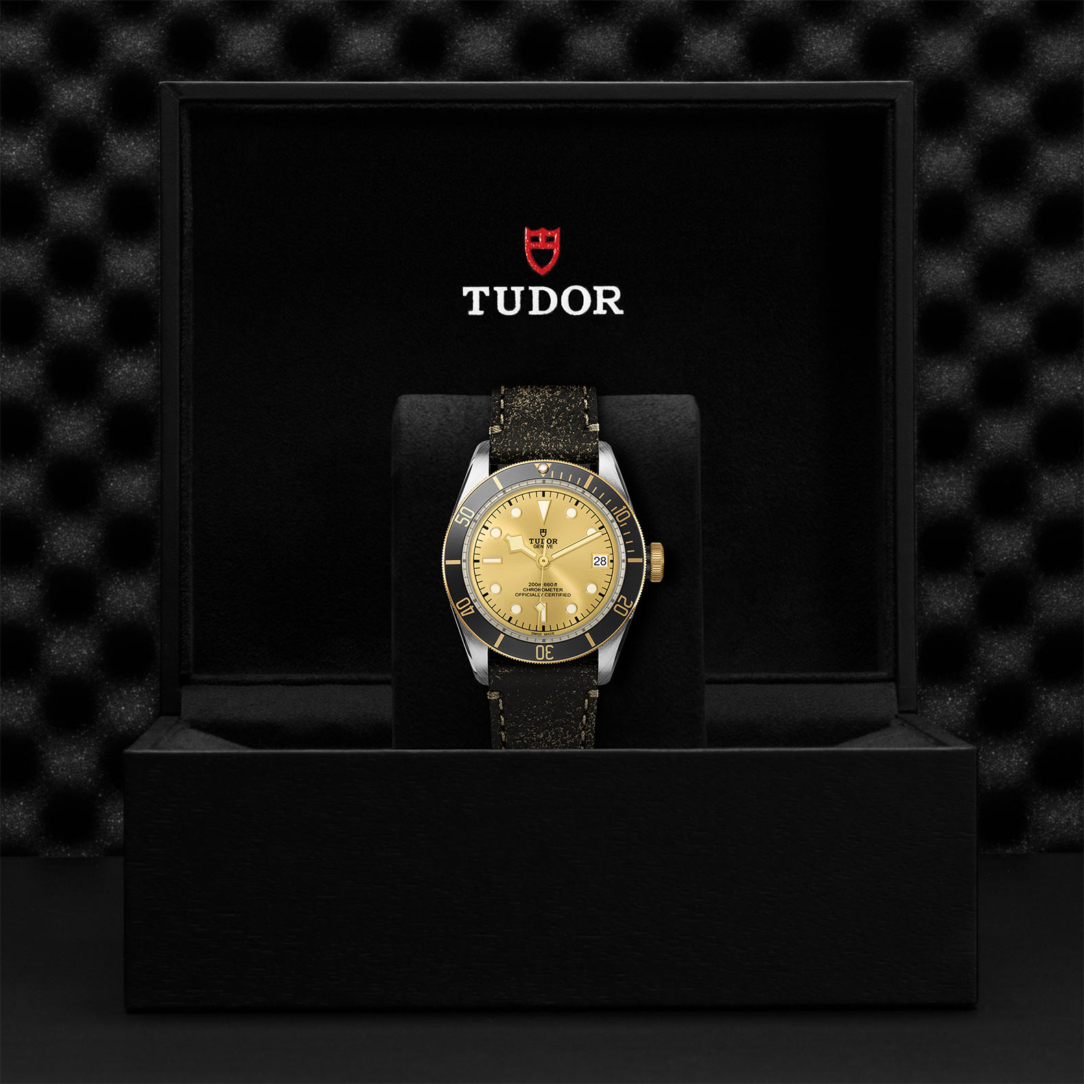 TUDOR Black Bay Watch - M79733N-0003 at Korman Fine Jewelry