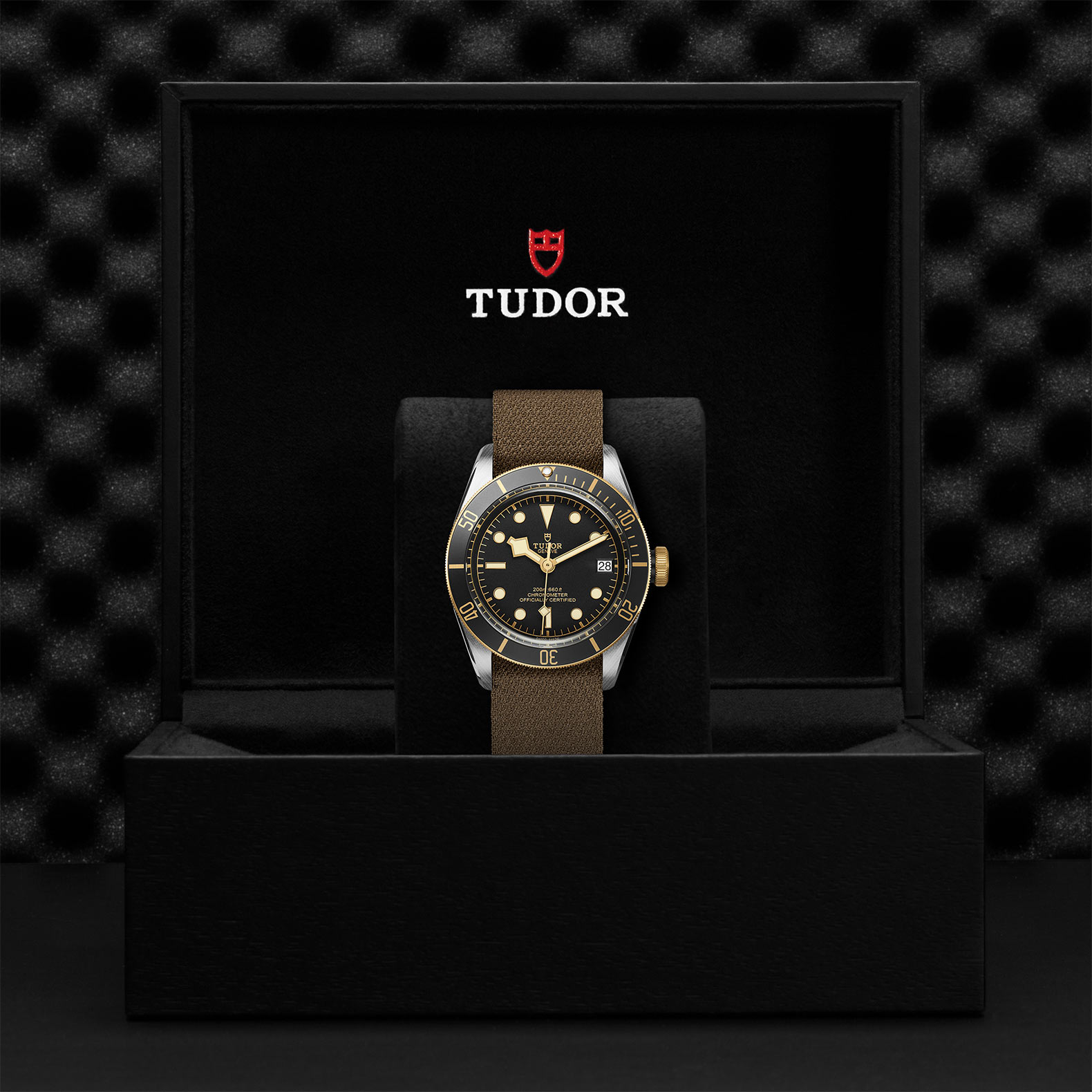 TUDOR Black Bay Watch - M79733N-0005 at Korman Fine Jewelry