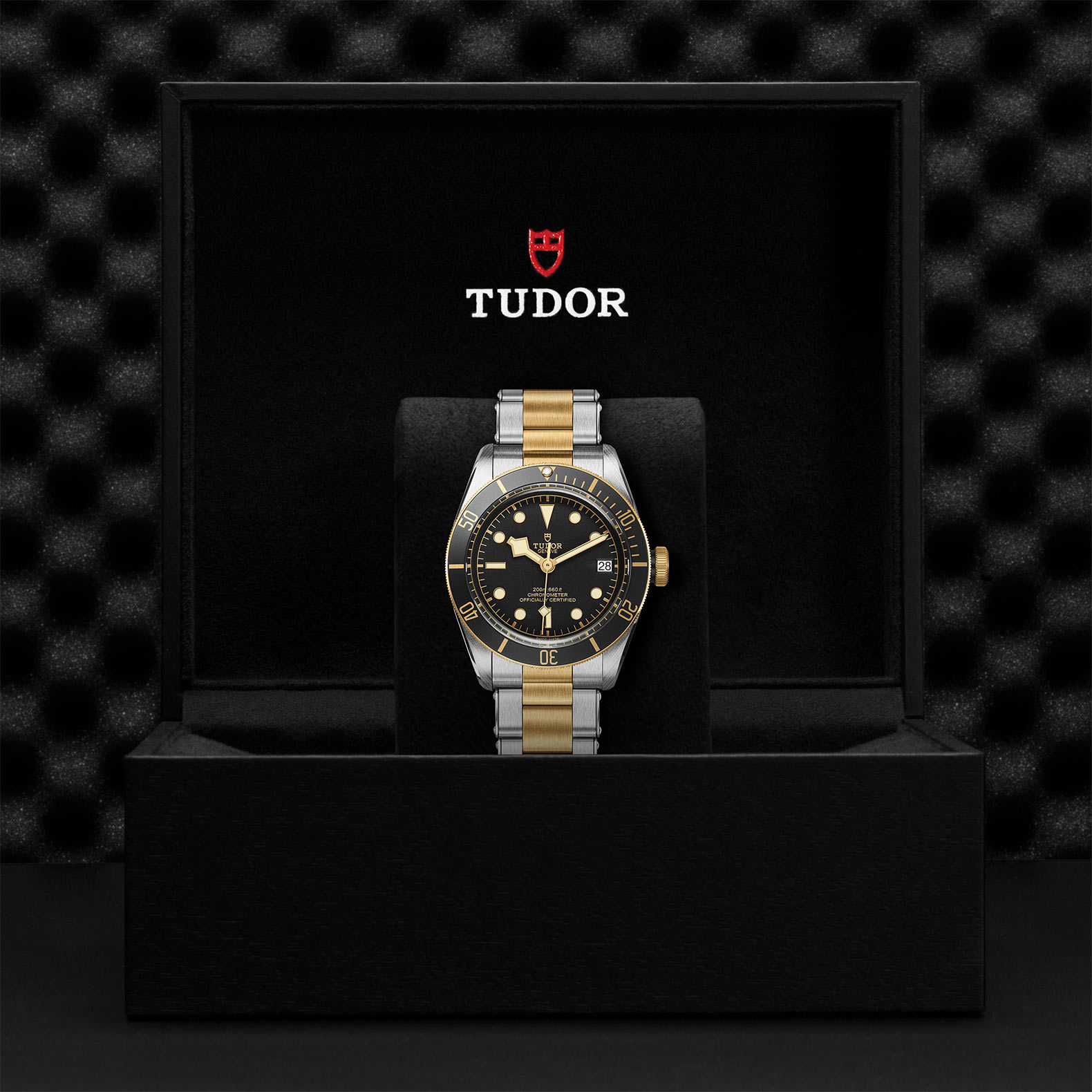 TUDOR Black Bay Watch - M79733N-0008 at Korman Fine Jewelry